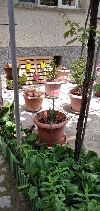 Draga Apartment เนเซบาร์ ภายนอก รูปภาพ